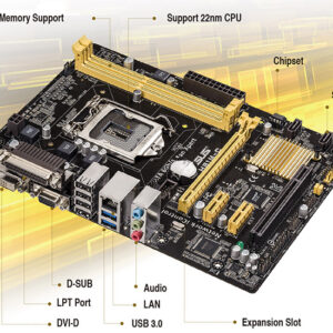 Placa de baza Asus H81M-C