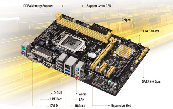 Placa de baza Asus H81M-C