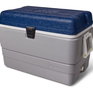 IGLOO MAXCOLD 50