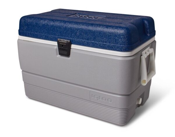 IGLOO MAXCOLD 50