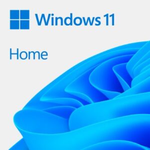 Licenta OEM Microsoft Windows 11 Home