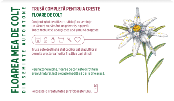 Trusa completa pentru a creste - Floare de colt | Monora