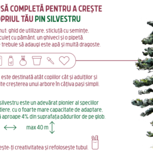 Trusa completa pentru a creste propriul tau - Pin Silvestru | Monora