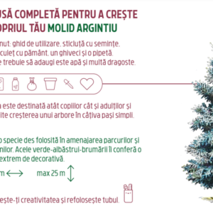 Trusa completa pentru a creste propriul tau - Molid argintiu | Monora