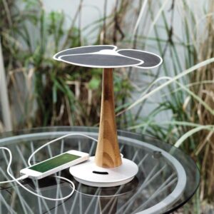 Incarcator solar 4.000 mAh Ginkgo