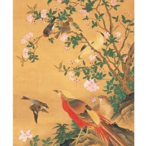 MAGNET Flowers - Oki Ichiga | Pomegranate