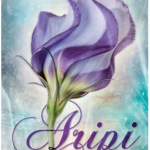 Aripi
