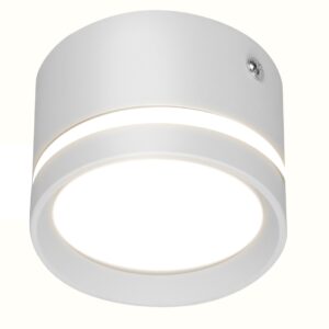 Aplica de Tavan Techstar® LED 10W