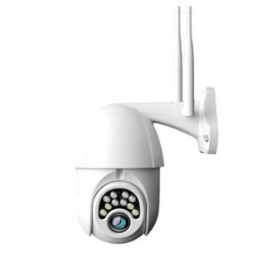 Camera Supraveghere IP PTZ Techstar® P16
