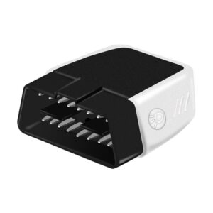 Interfata Diagnoza Auto Techstar®