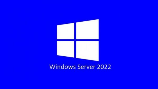 Licenta Microsoft Windows 2022 Server