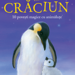 Dorinte de Craciun. 10 povesti magice cu animalute