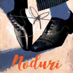 Noduri
