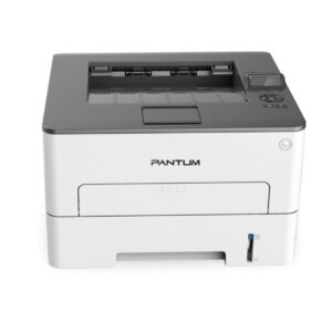 Imprimanta laser mono Pantum P3010dw