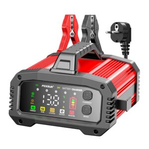 Redresor Incarcator Inteligent Baterii Auto Foxsur® FPT-250