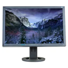Monitor 24 inch LCD, Full HD, EIZO FlexScan S2402W, Black, Display Grad B
